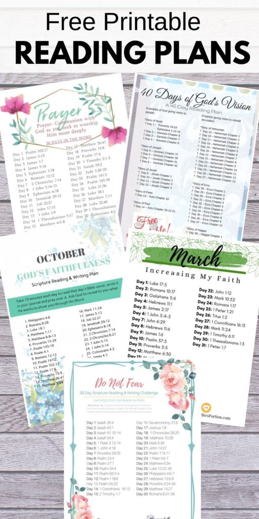 Bible Recap Reading Plan Printable