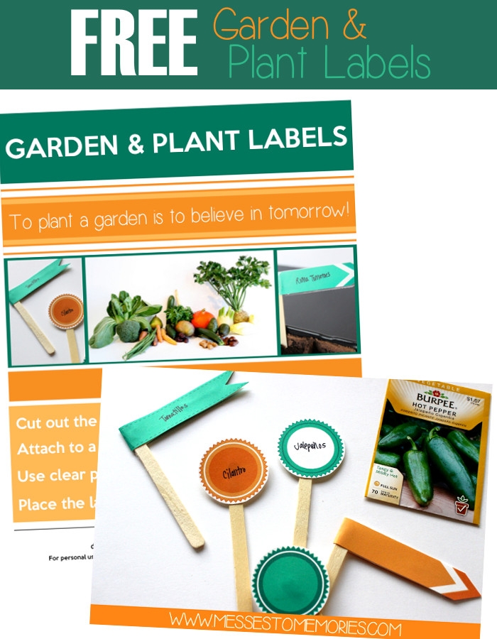 Free Printable Plant Labels Template