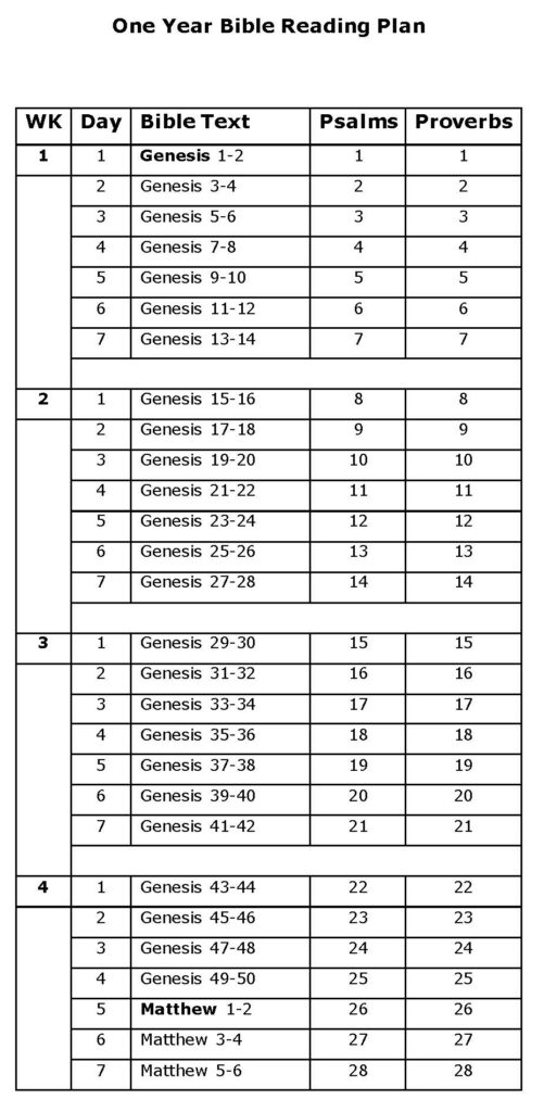 One Year Bible Reading Plan Cynce s Place