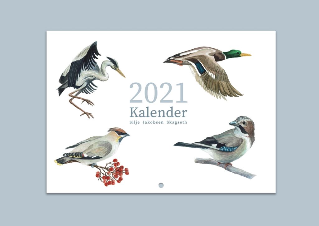 Bird Calendar On Behance