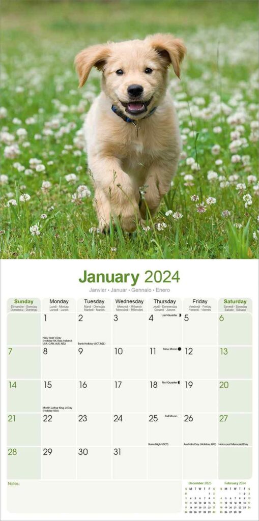 Golden Retriever Calendar Dog Breed Calendars Pet Prints Inc