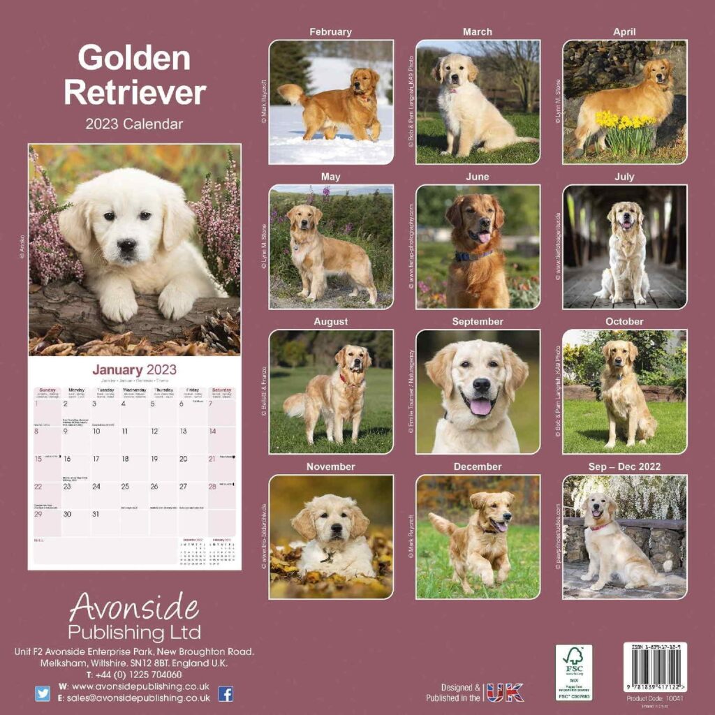 Golden Retriever Calendar Dog Breed Calendars Pet Prints Inc