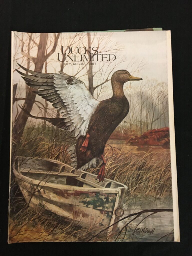 Wisconsin Ducks Unlimited Calendar Zena Angelia