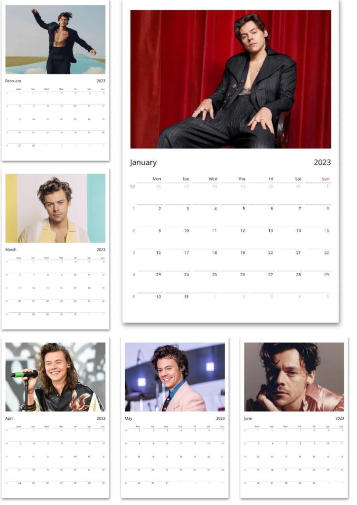 Harry Styles Calendar 2024 Calendar Printables