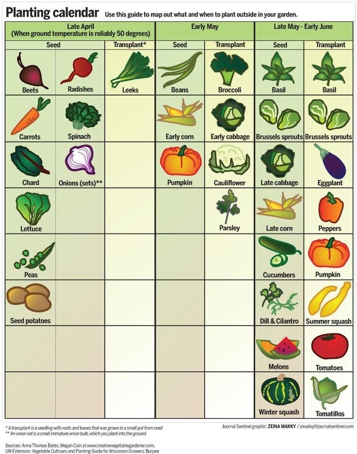 Michigan Planting Calendar 2023