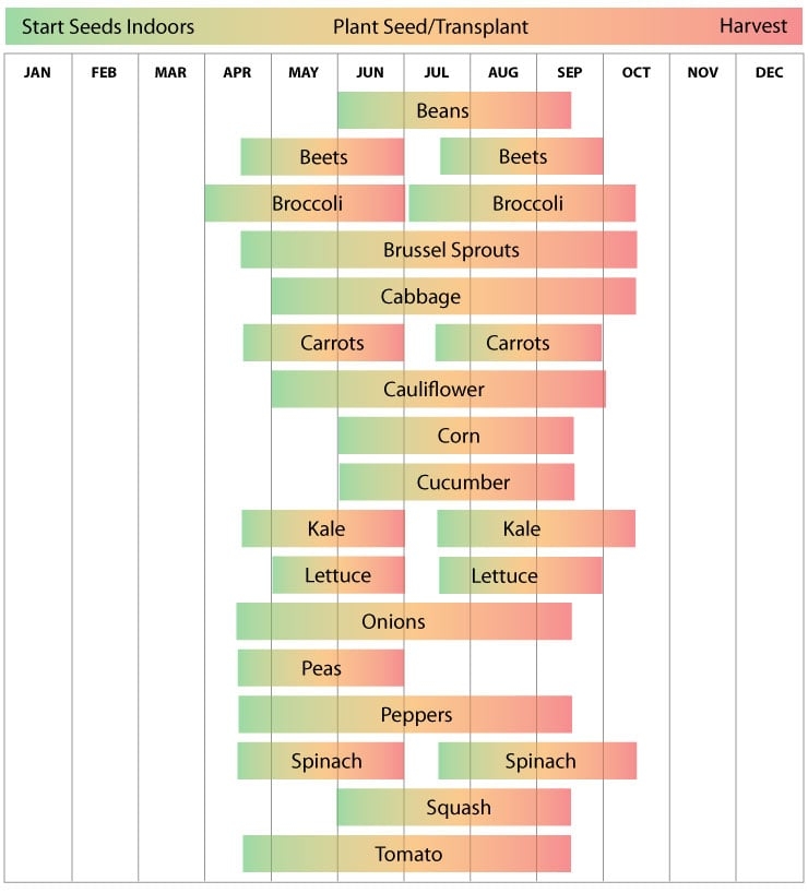 Michigan vegetable planting calendar