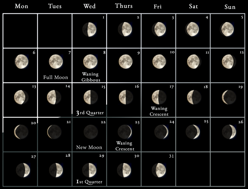 Moon Cycles Jan 2025 Schedule Tish Jessamyn