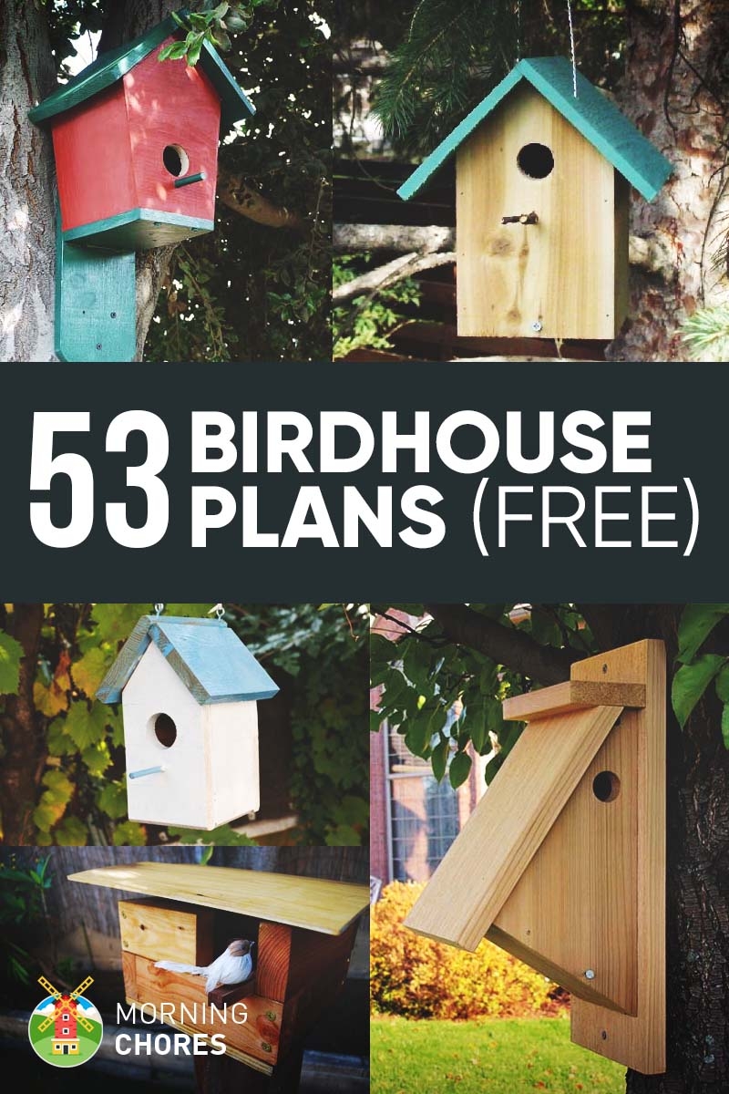 53 DIY Birdhouse Plans That Will Attract Them To Your Garden