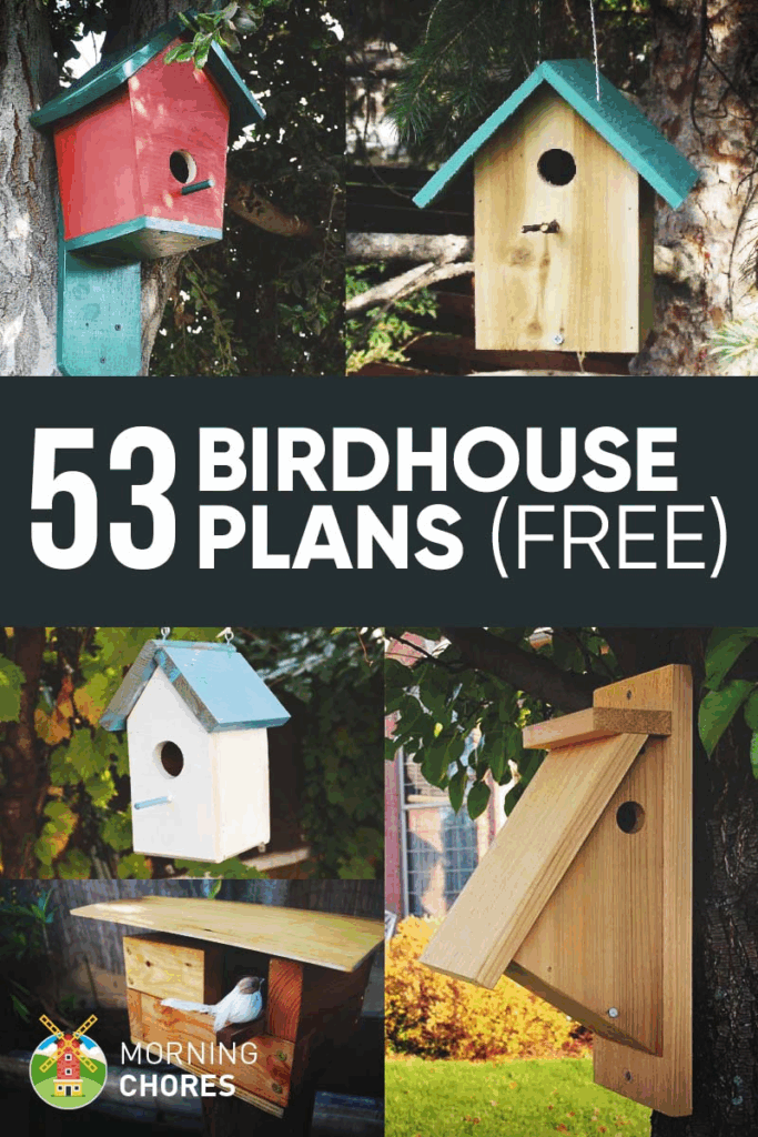 53 Free Diy Bird House Bird Feeder Plans That Will Attract Them To Your