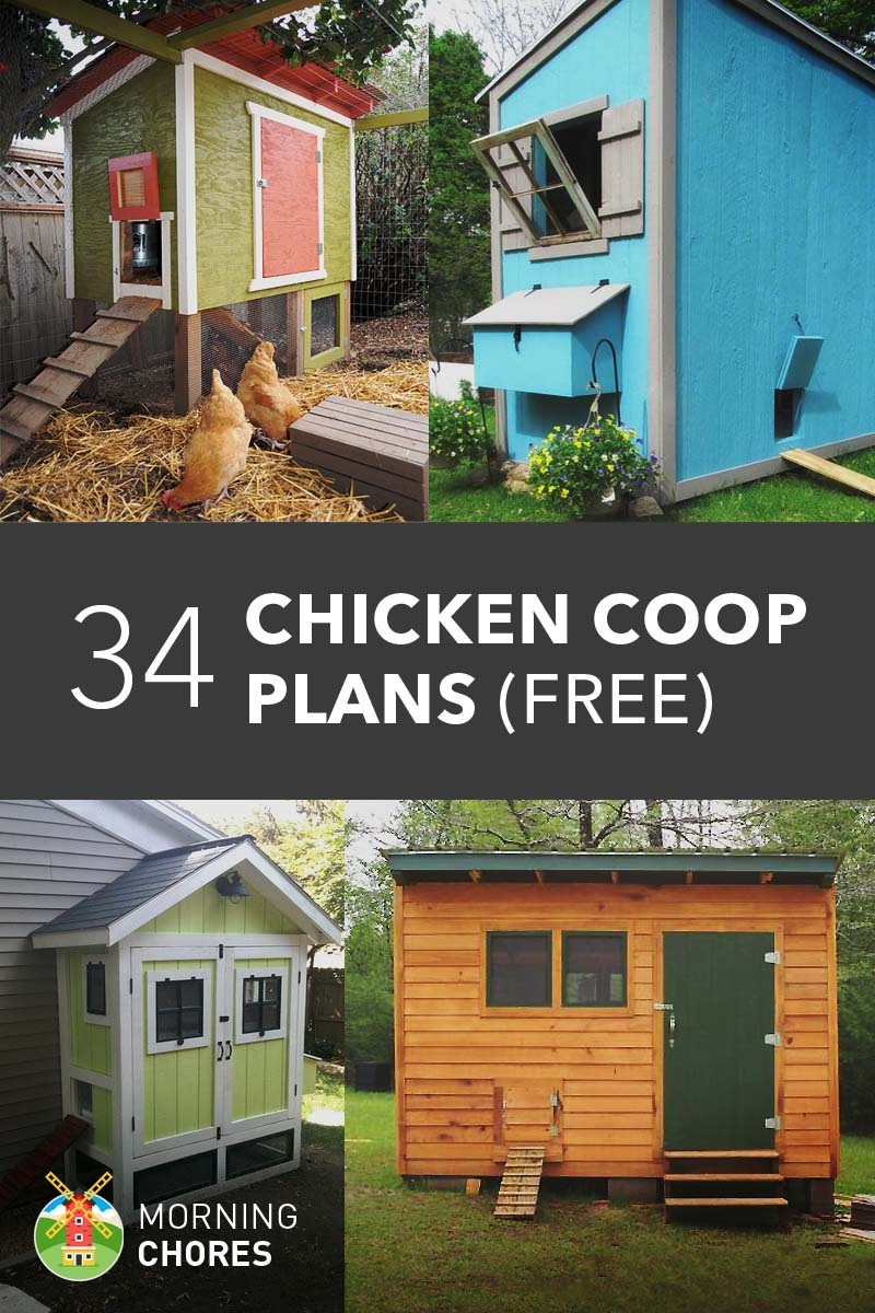 61 Free DIY Chicken Coop Plans Ideas That Are Easy To Build Free  61 Free DIY Chicken Coop Plans Ideas That Are Easy To Build Free