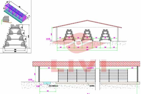 Choosing The Best Poultry Cage For Different Climates LIVI