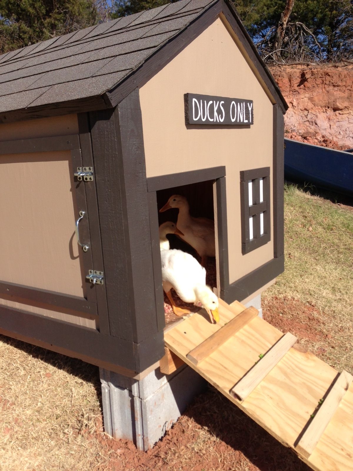 Domestic Duck House Plans