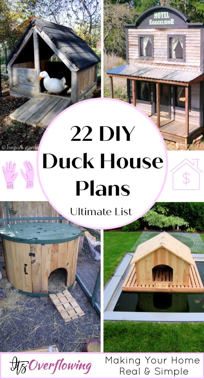 Duck House Project Build