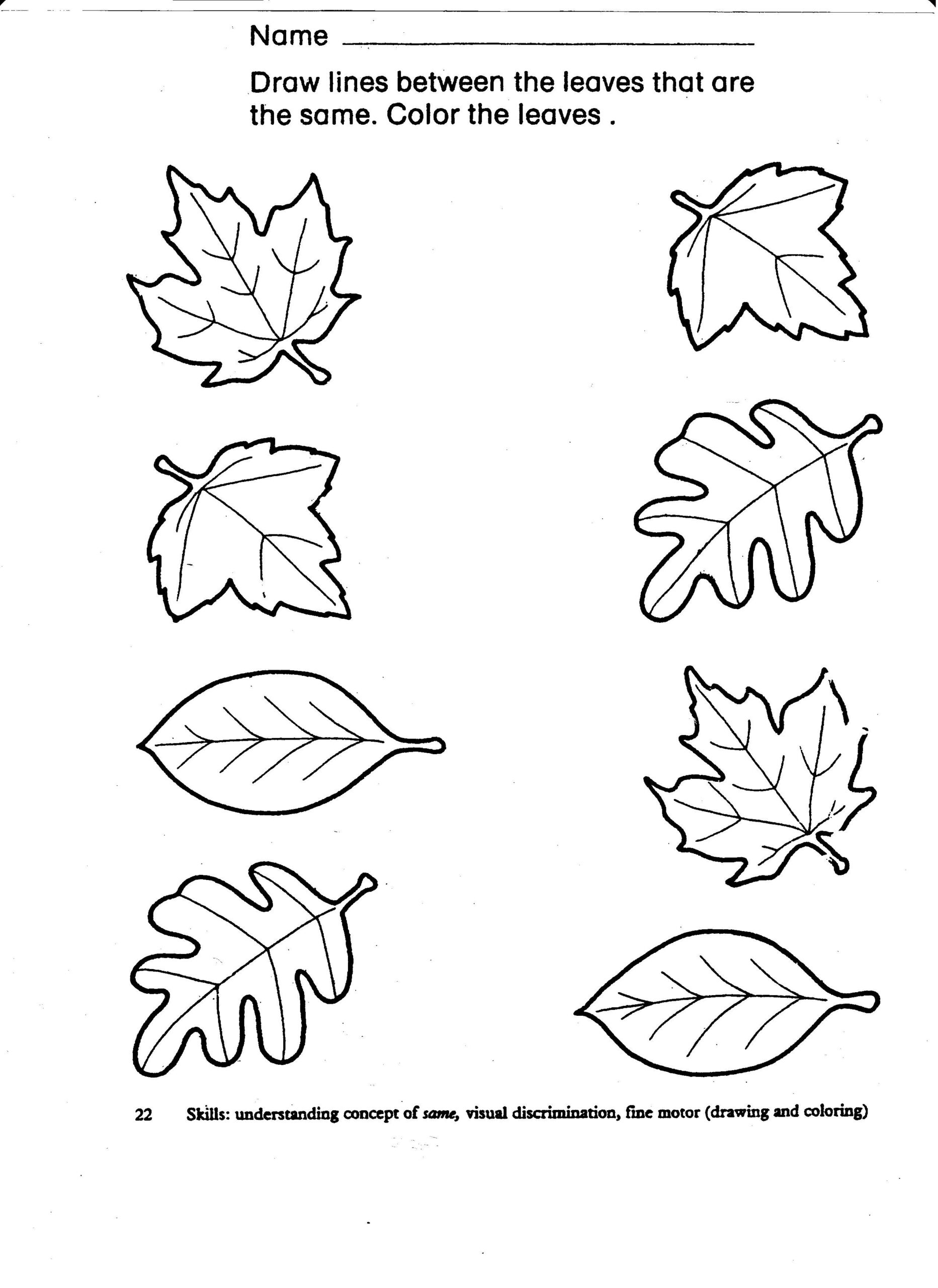 Fall Printable Activity Sheets