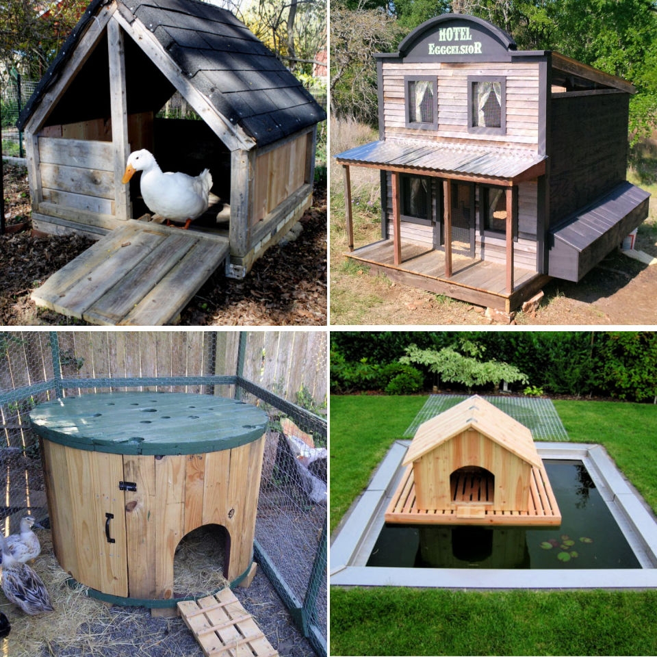 Floating Duck House Plans A Guide To Building A Home For Your Ducks
