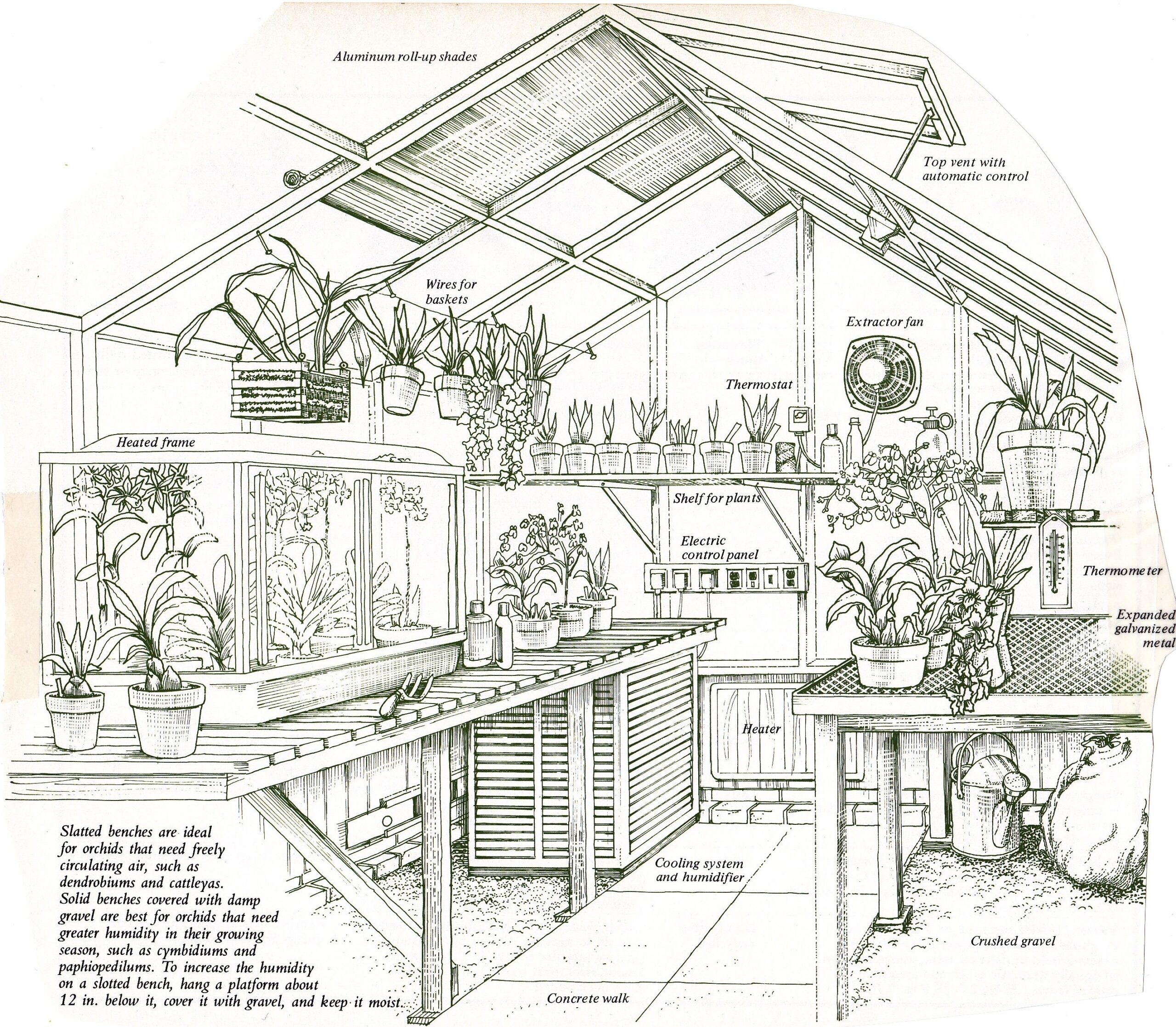 Greenhouse Outdoor Greenhouse Diy Greenhouse Plans Greenhouse 
