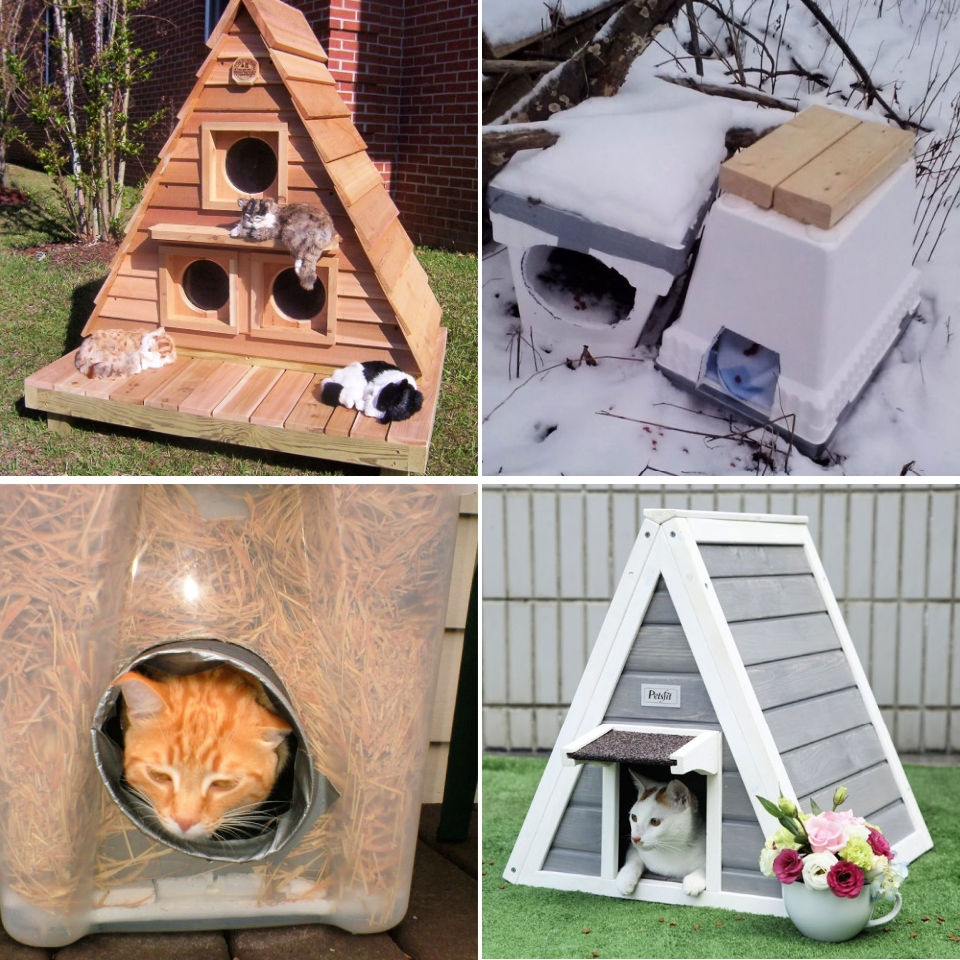 How To Build An Outdoor Cat House The Complete Guide Best Diy Pro