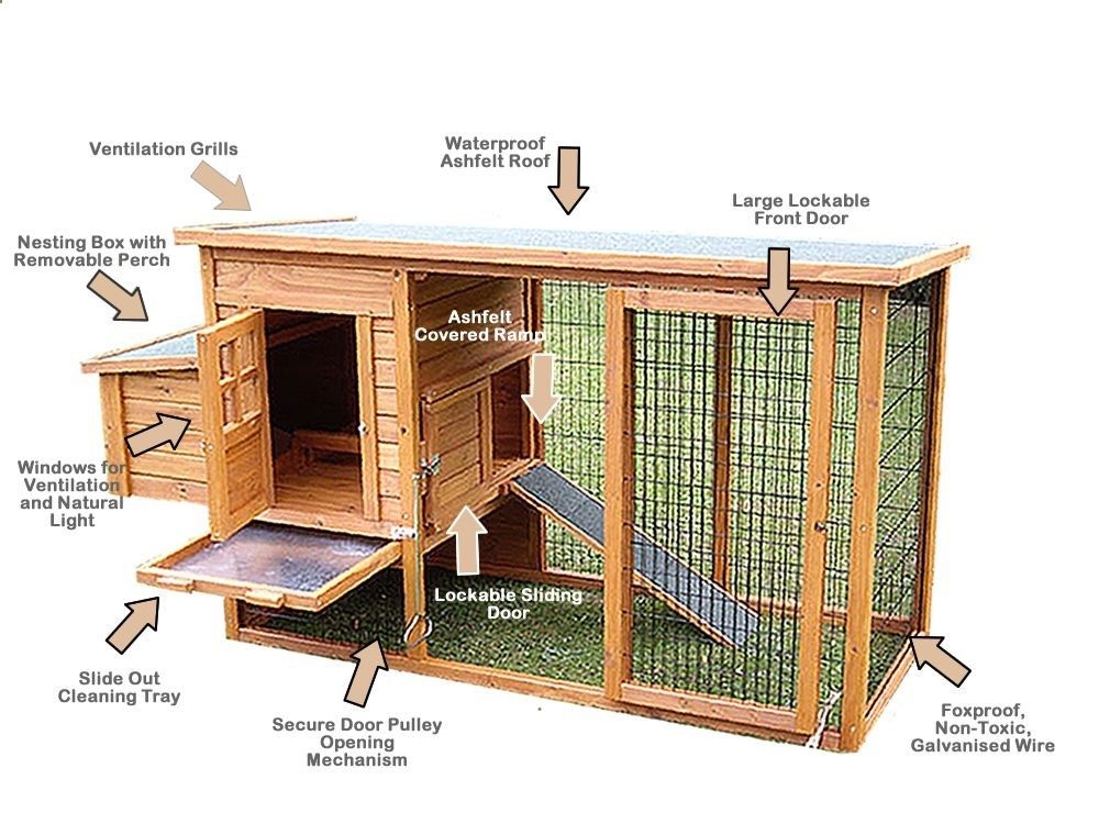 Learn How To Build Chicken Coops Or A Hen House With Easy DIY Chicken