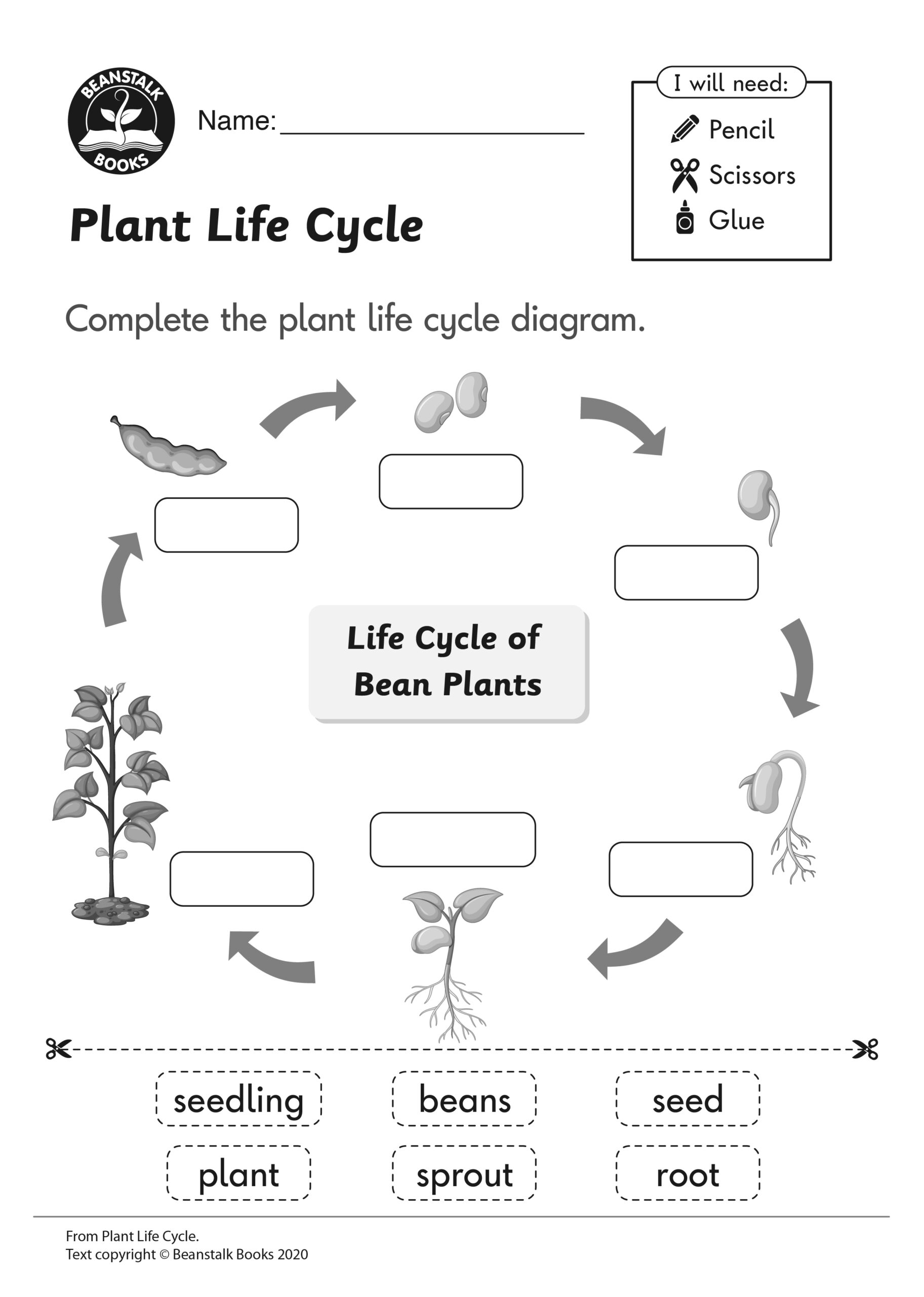 Life Cycle Of A Plant Free Printable Worksheet
