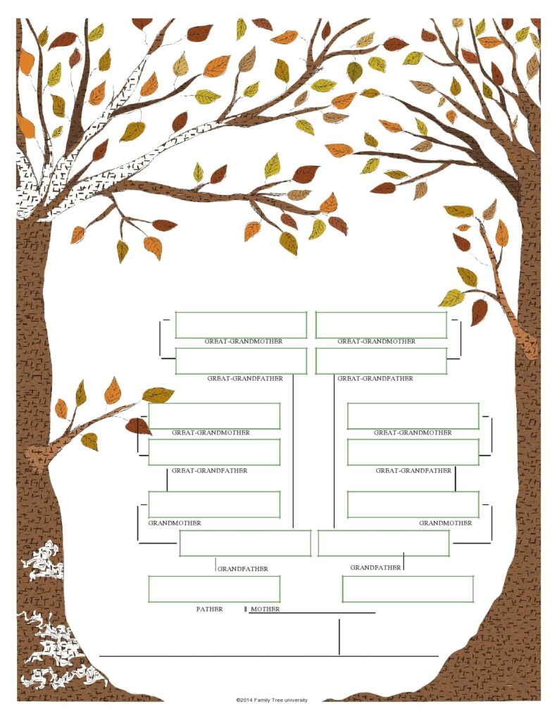 30 Editable Family Tree Templates 100 Free TemplateArchive