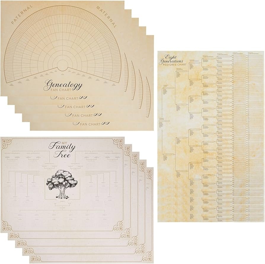 Amazon Okuna Outpost Family Tree Charts For Wall Scrapbook 17 X 22 In Multicolor 15 Pack Fillable Family Tree Starter Kit Genealogy Charts To Fill In Office Products Amazon Okuna Outpost Family Tree Charts For Wall Scrapbook 17 X 22 In Multicolor 15 Pack Fillable Family Tree Starter Kit Genealogy Charts To Fill In Office Products