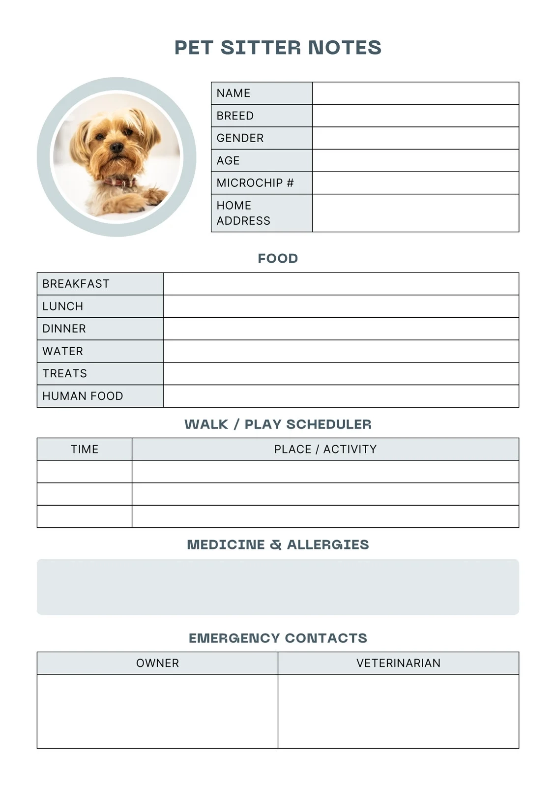 Free And Customizable Pet Templates Canva Free And Customizable Pet Templates Canva
