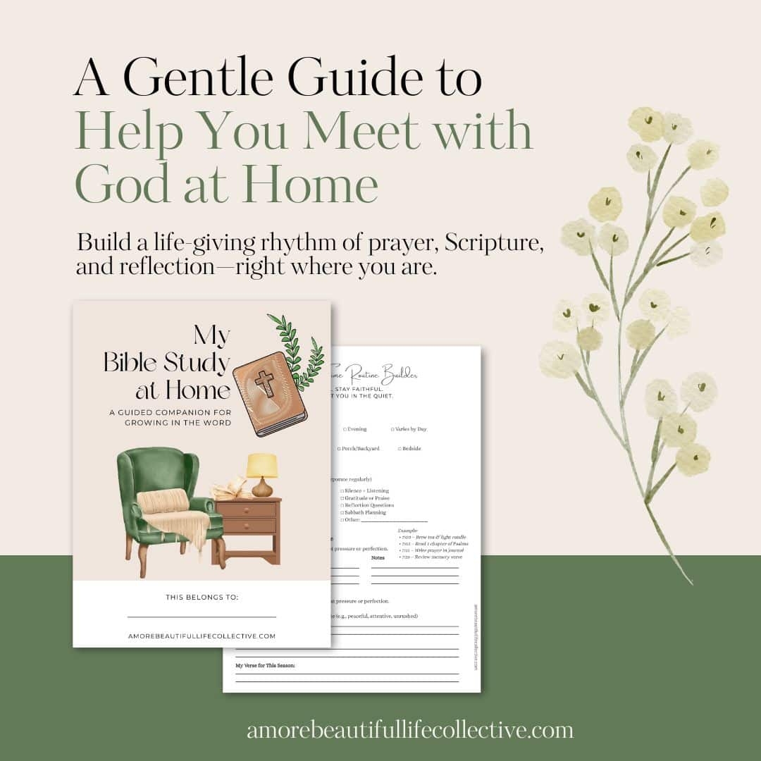 Free Printable Bible Study Guide For Women My Bible Study At Home A More Beautiful Life Collective