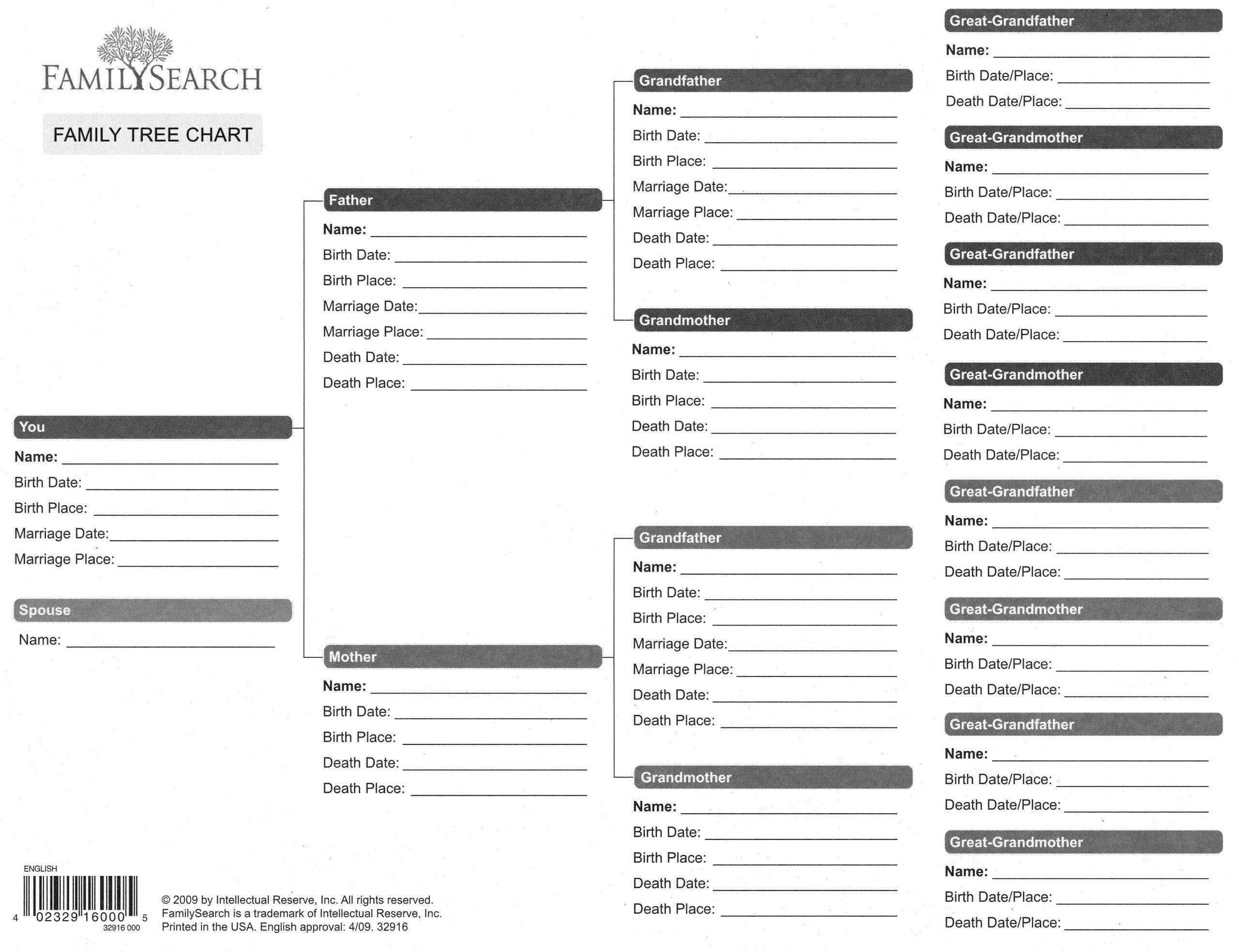 Free Printable Genealogy Forms Individual Worksheet Worksheets Library