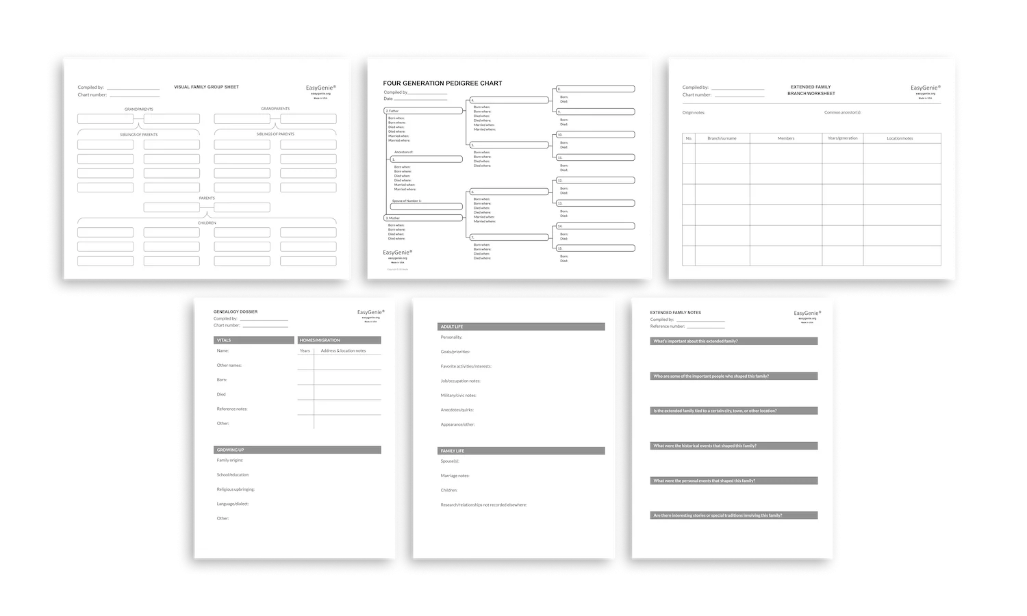 Genealogy Stories Kit 5 Fillable PDF Forms EasyGenie