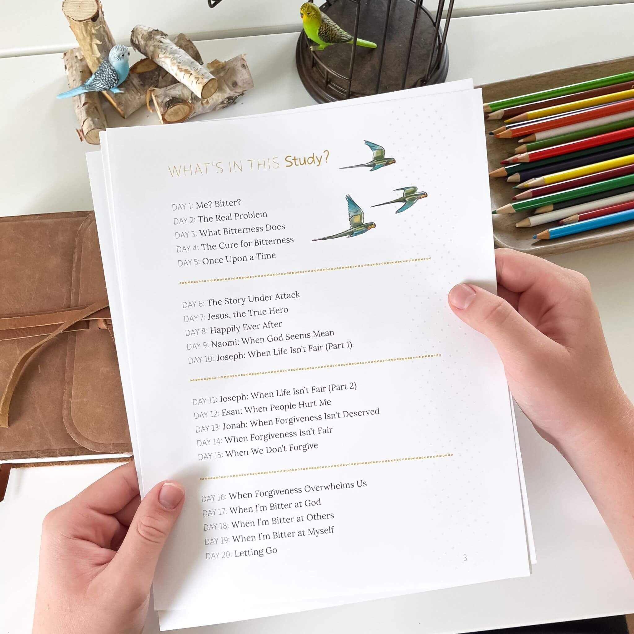 Letting Go Bible Study Digital 