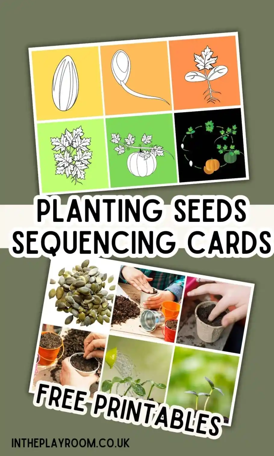 Preschool Planting Seeds Sequencing Activity Free Printable Cards In The Playroom Preschool Planting Seeds Sequencing Activity Free Printable Cards In The Playroom