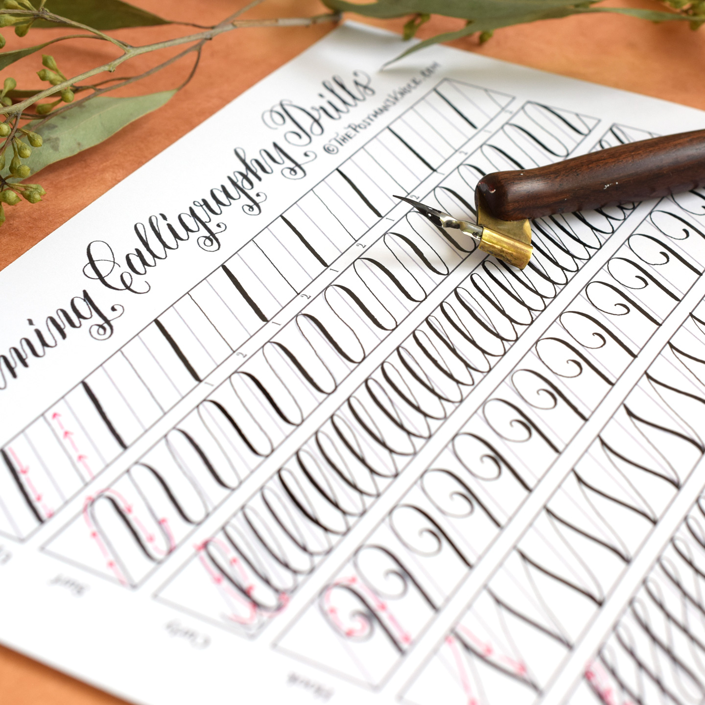 11 Calming Calligraphy Drills Printable Free Download