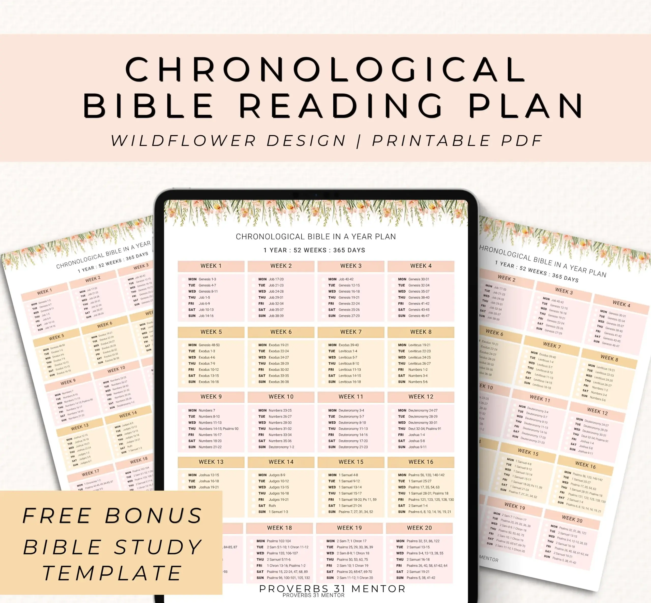 365 Day Bible Plan Chronological