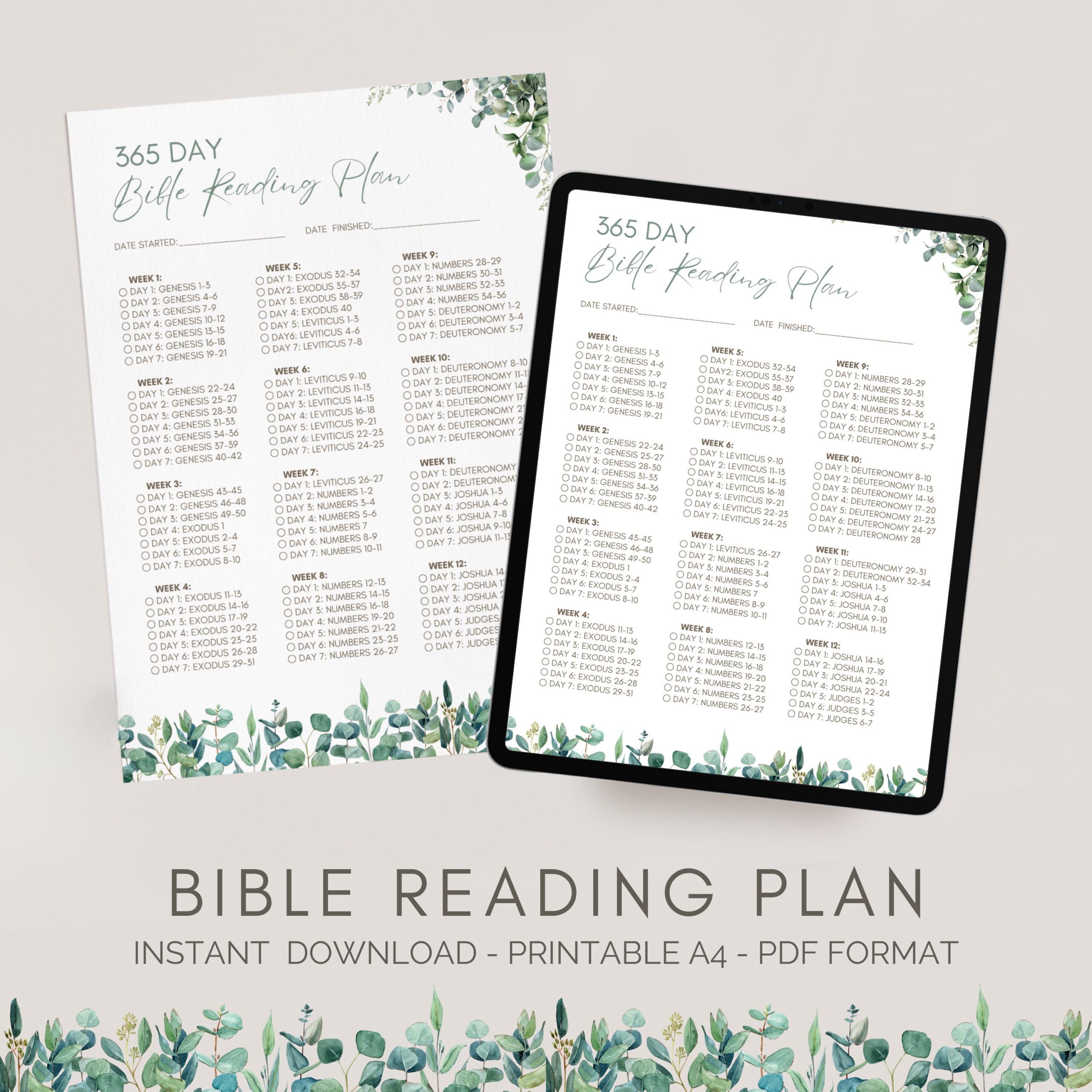 365 Day Bible Reading Plan Chronological