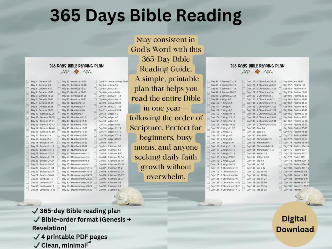 365 Day Bible Reading Plan Printable