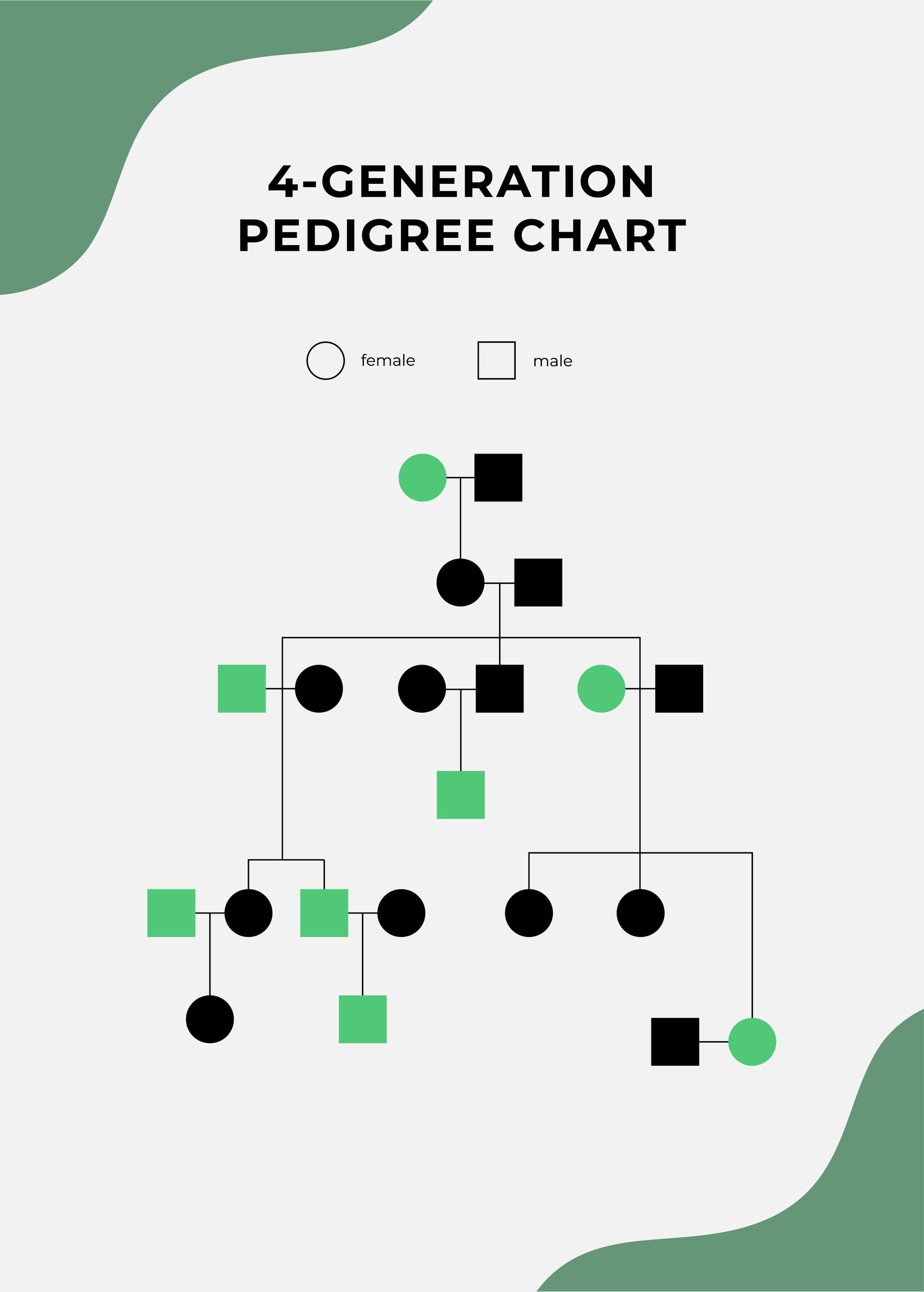 4 Generation Family Tree Chart