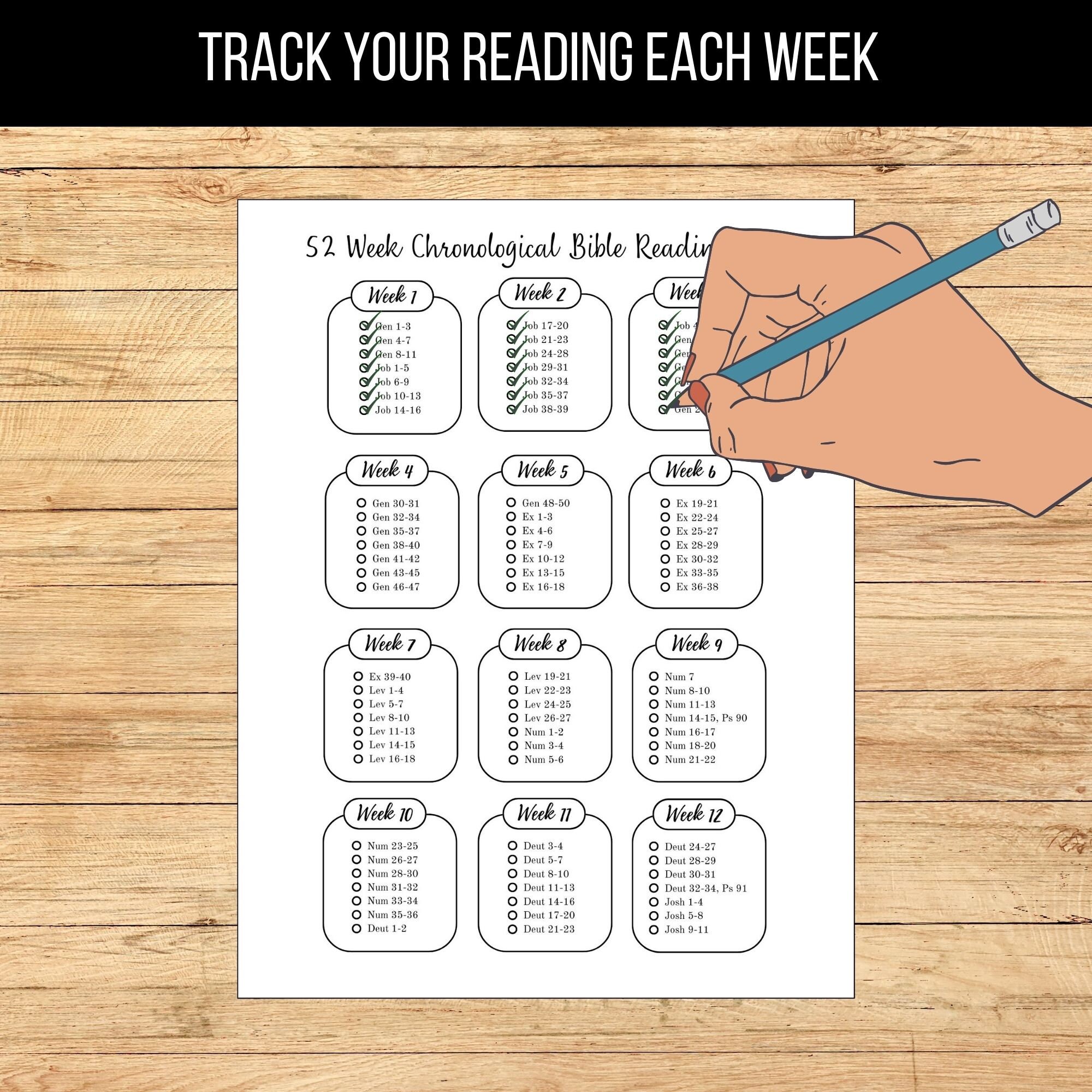 52 Week Chronological Bible Reading Plan