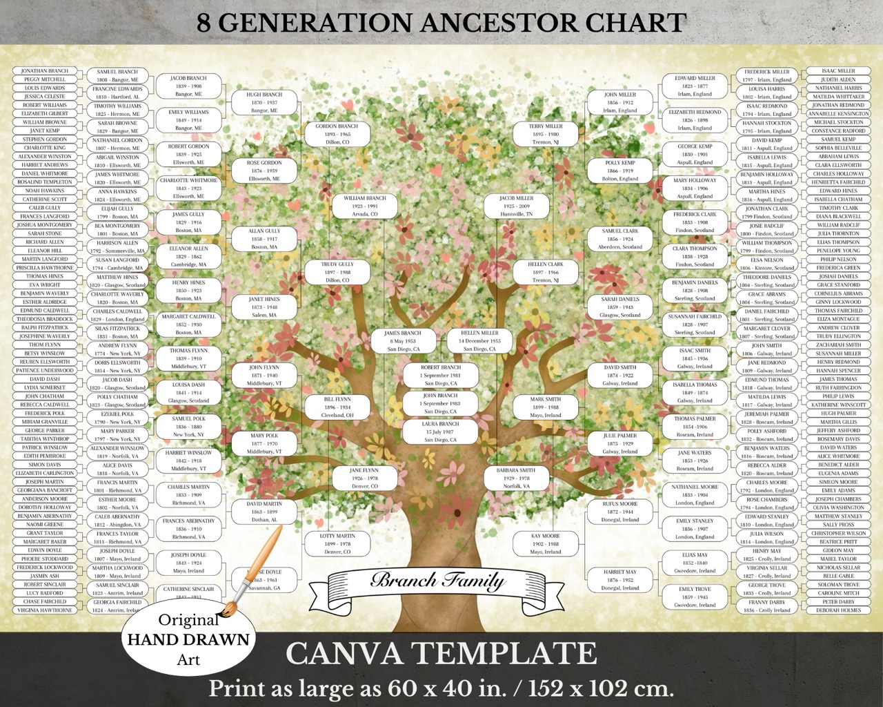 8 Generation Family Tree Chart