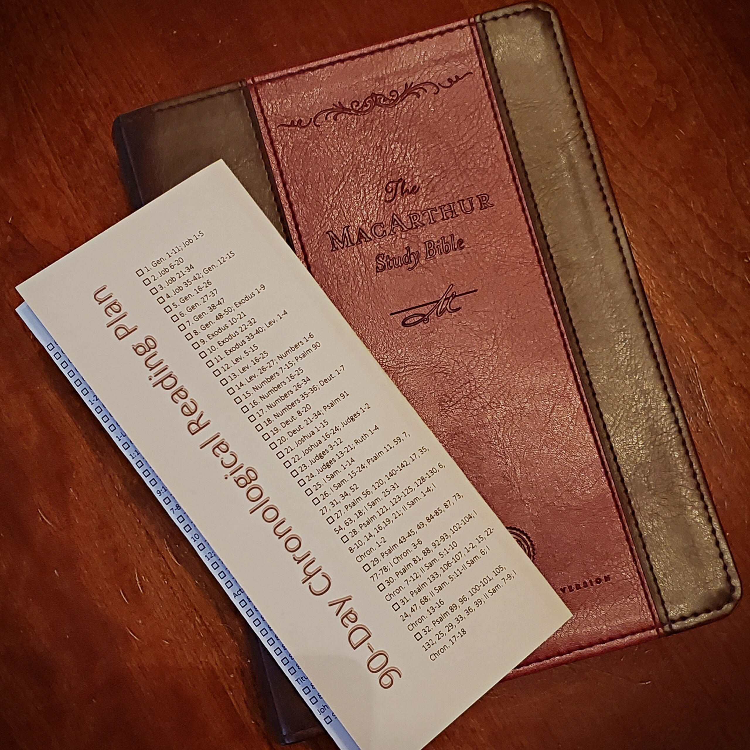 90 Day Chronological Bible Reading Plan