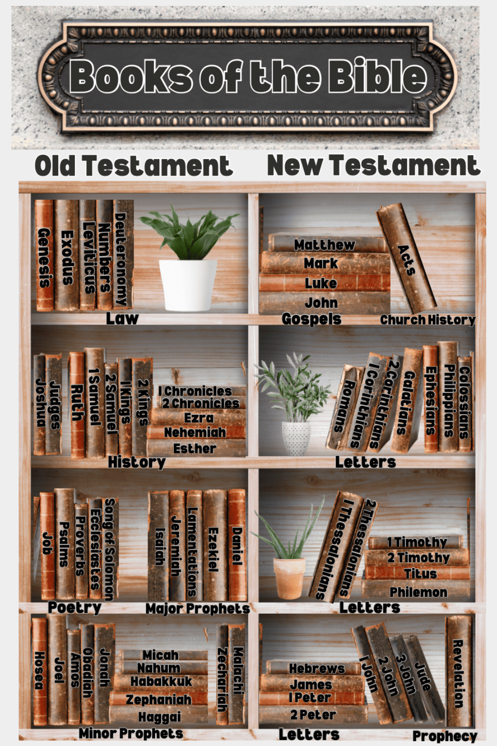Best Books Of The Bible At A Glance Free Printable