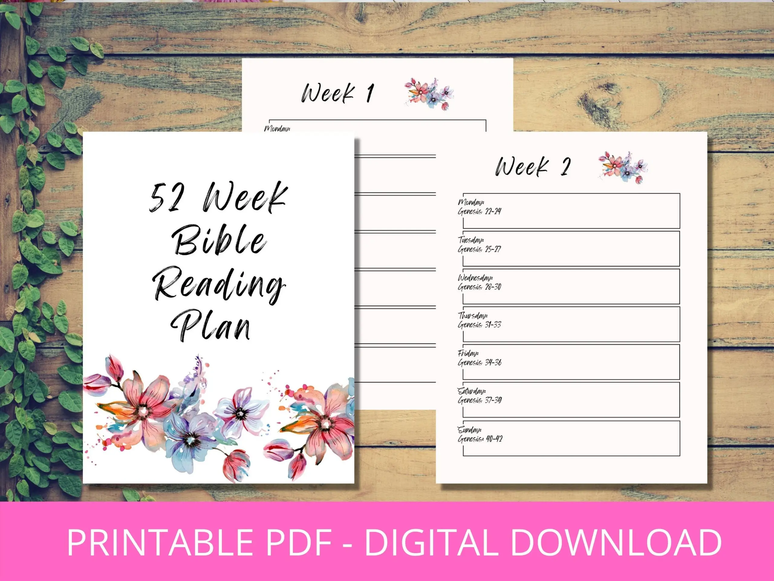 Bible Reading Plan 1 Year52 Weeks