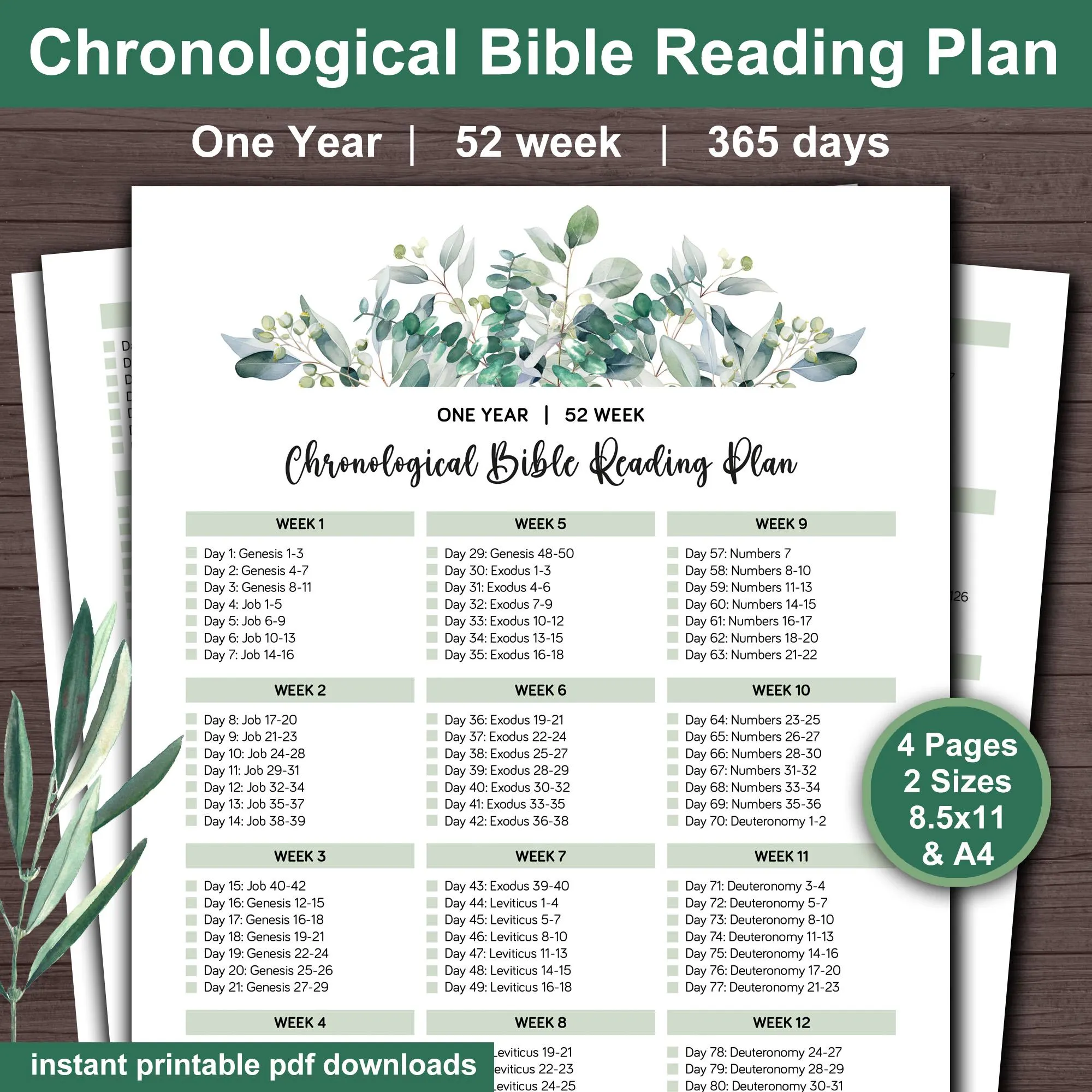 Bible Reading Plan 52 Week