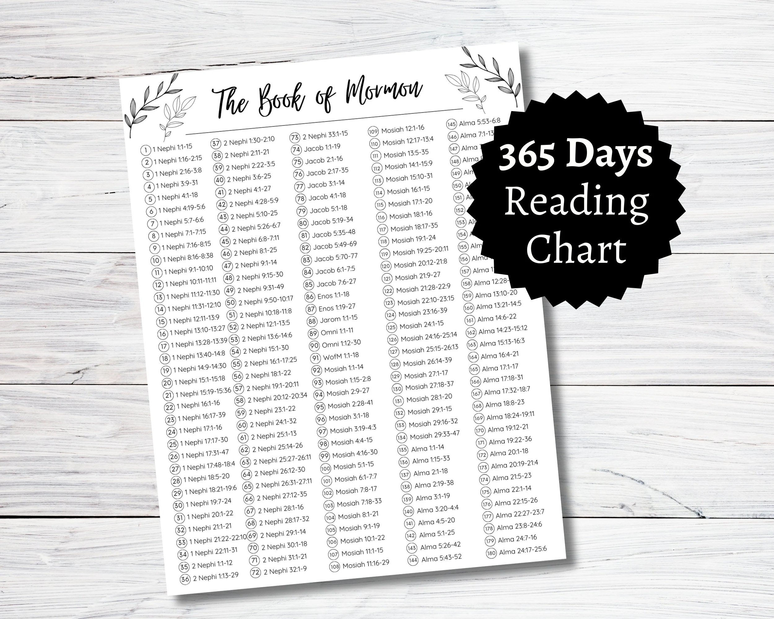 Bible Reading Plan 6 Months