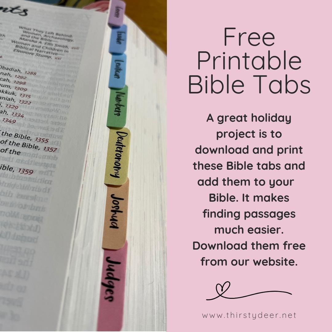 Bible Tabs5995091