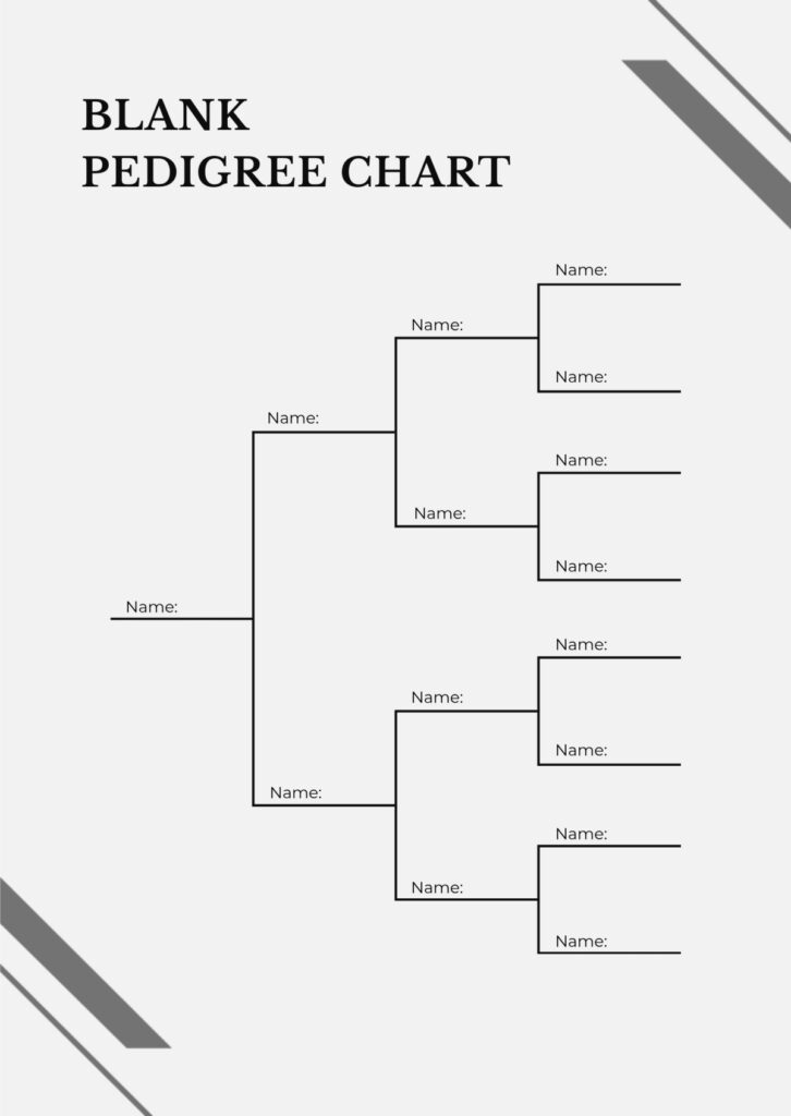 Blank Pedigree Chart