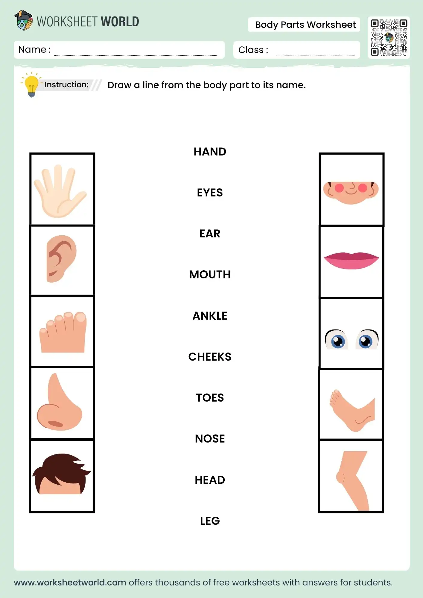 Body Parts Matching Worksheet Body Parts Matching Worksheet