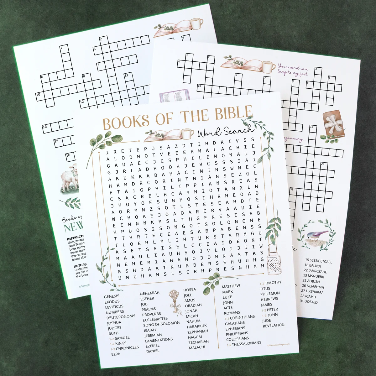Books Of The Bible Activities 17118