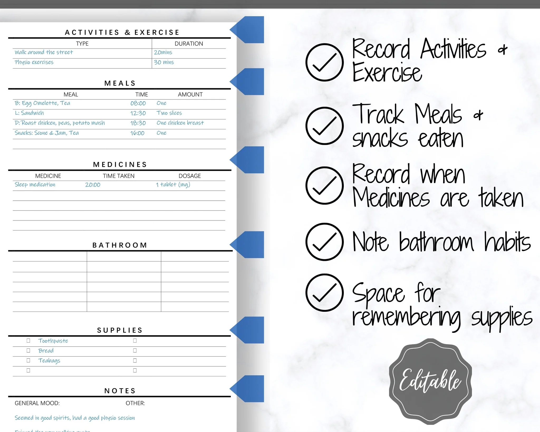 Caregiving Elderly Care Checklist Printable