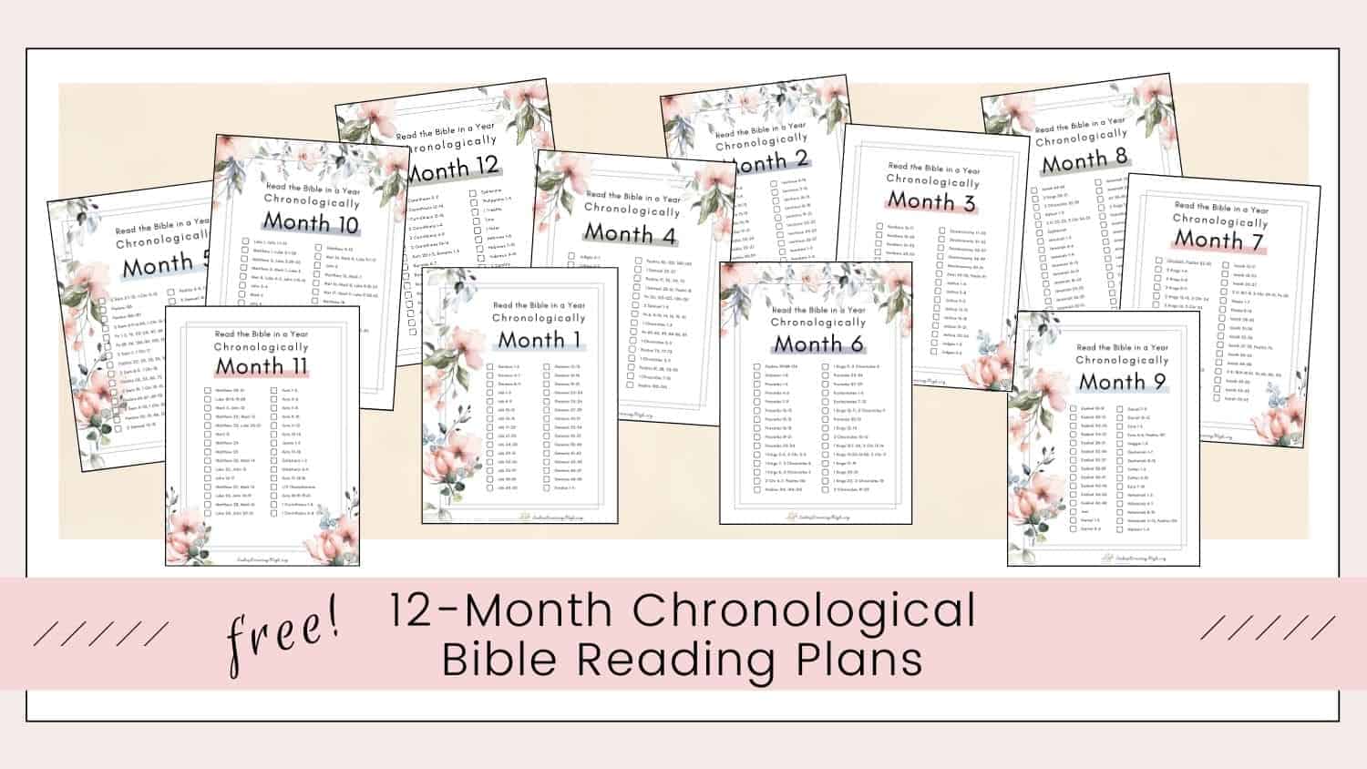Chronological Bible Reading Plan