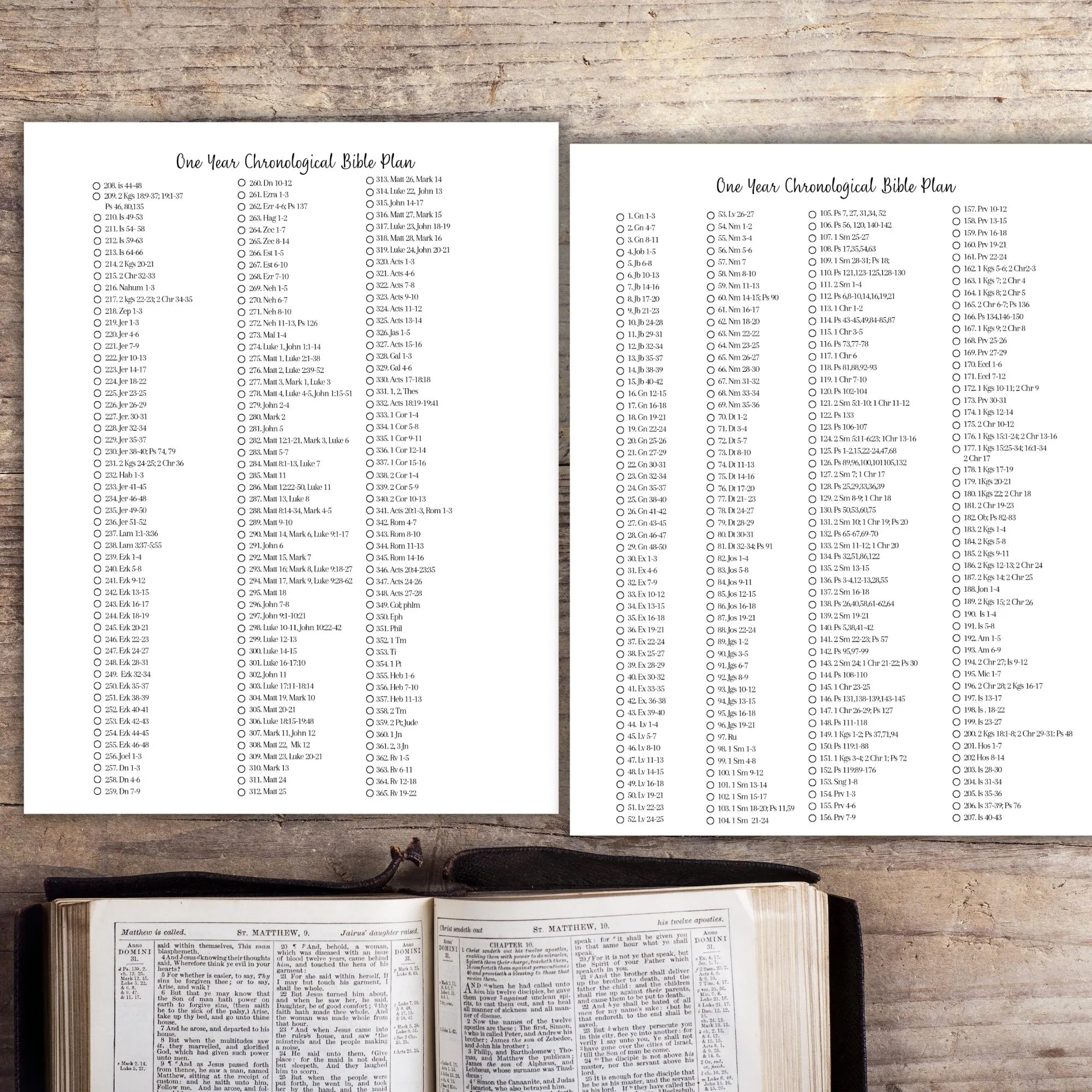 Chronological Bible Reading Plan